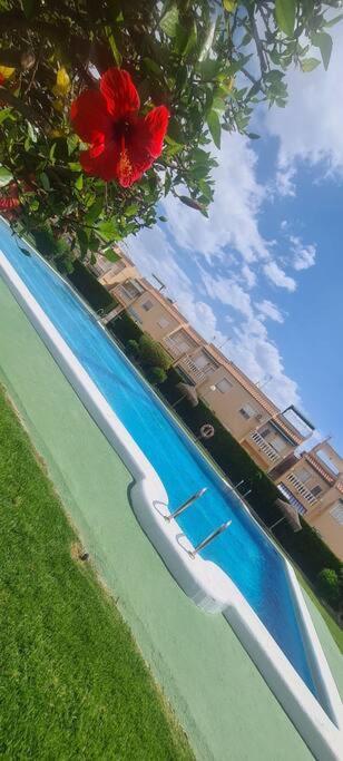 Bungalow Avec Piscine Torrevieja Exterior foto